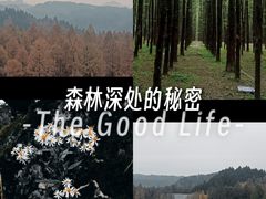 -山王坪喀斯特国家生态公园