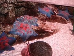 -沈阳海洋探索中心