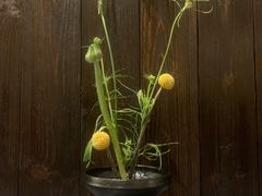 -灶咖KITCHEN