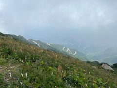 -白草畔自然风景区