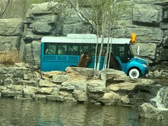 -北京野生动物园