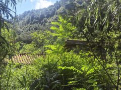 -麦积山温泉