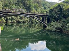 -鼎湖山风景区
