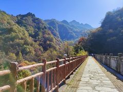 -秦岭终南山世界地质公园翠华山景区