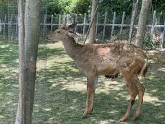 -南京金牛湖风景区