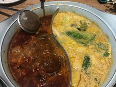 -青瓷火锅料理(西单大悦城店)