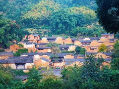 -杨家堂村