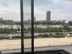 -羲和雅苑•北京烤鸭(乐园道万象城店)