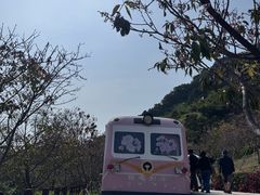 -小南山公园