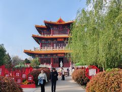 -曹州牡丹园