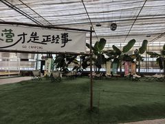 -南和农业嘉年华