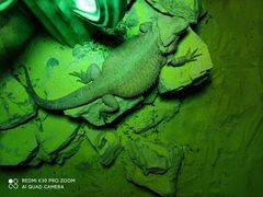 -海合安武汉极地海洋公园