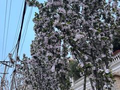 -青岛德国总督楼旧址博物馆