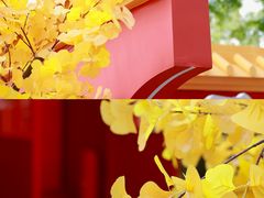 -龙湖杭州滨江天街
