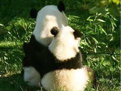 -港门粉第一家