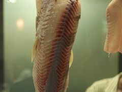 -官塘原味鱼生·潮菜大排档(潮州总店)