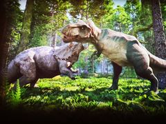 -自贡恐龙博物馆