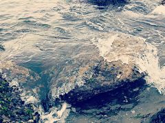 -玫瑰海岸文化旅游度假区