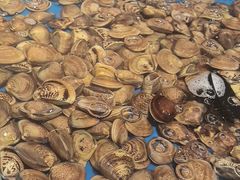 -川骄海鲜自助(河东店)