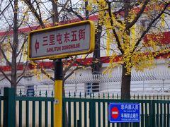 -三里屯东五街银杏大道
