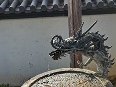 -东方艺术博物馆