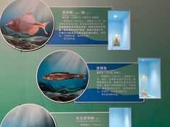-天津自然博物馆