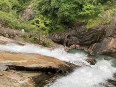 -广州白江湖森林公园