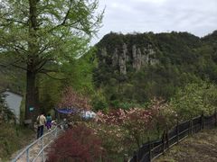 -宁波余姚老柿林山居度假村