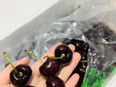-宝业东城广场(东二环路店)
