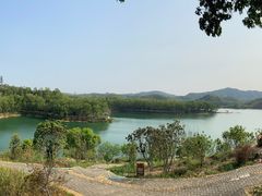 -红花湖景区