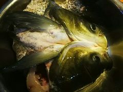 -好灶头妈妈菜·柴火灶台鱼·千岛湖土菜地标美食