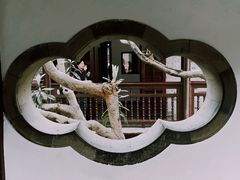 -何园