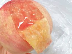 -老袁家蜜桃农场·阳山水蜜桃