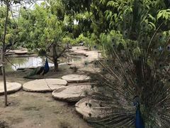 -河北村民俗体验园
