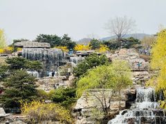 -北京西山国家森林公园