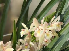 -金陵花卉交易市场