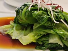 罗马生菜-船歌·鱼水饺青岛菜(国贸商城店)