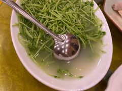 -鸿达渔港