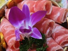 -蜀大侠火锅(森兰花园城店)