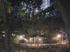 -九龙公园