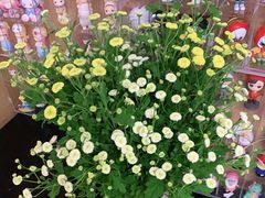 -盒马鲜生(红莲店)