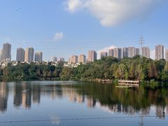 -重庆彩云湖湿地公园