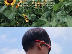 -映月湖中央公园