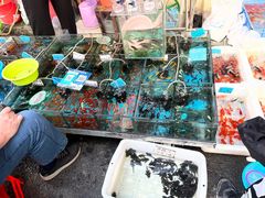 -清平路水族市场