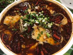 沸腾鱼-熊猫小厨