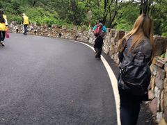 -木兰云雾山