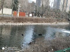 -长白岛森林公园