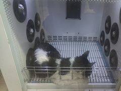 -宠颐生汉谟拉比宠物医院