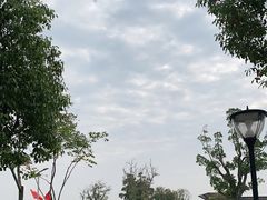 -上海长兴岛郊野公园