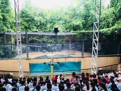 -清迈夜间动物园